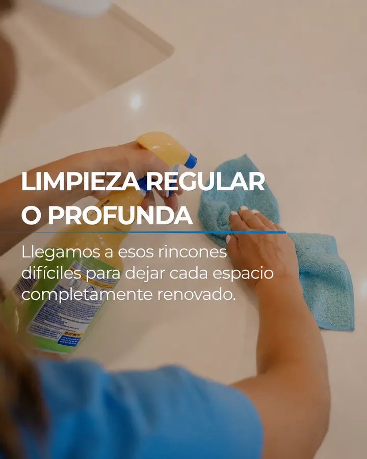 Limpieza regular o profunda